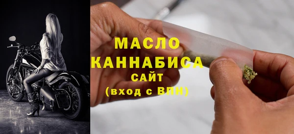 дмт Осинники