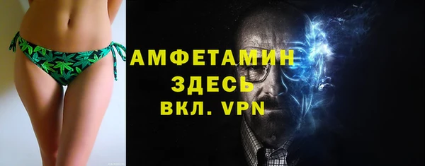 шишки Осташков