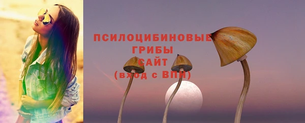 дмт Осинники