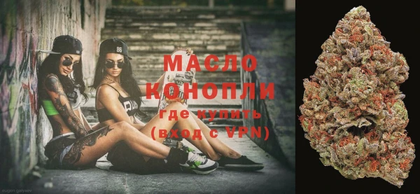 дмт Осинники