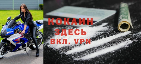 дмт Осинники