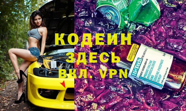 шишки Осташков