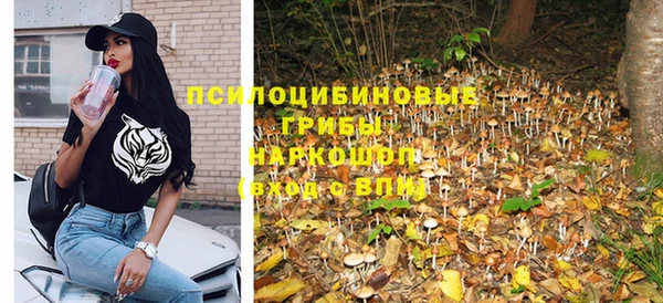 дмт Осинники