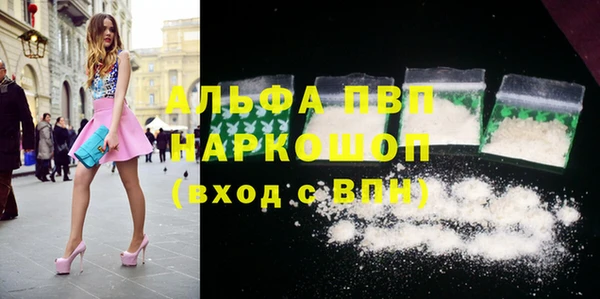 шишки Осташков
