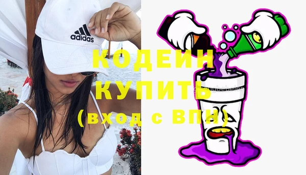 шишки Осташков