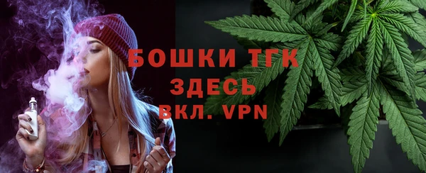 дмт Осинники
