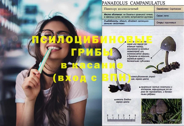 дмт Осинники
