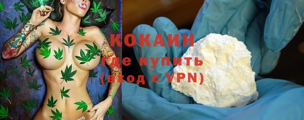 дмт Осинники