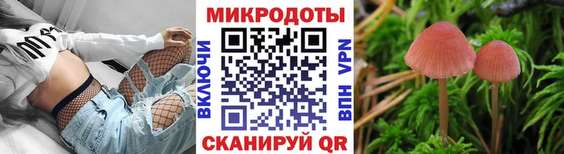 Псилоцибиновые грибы Psilocybine cubensis  где найти   Ставрополь 