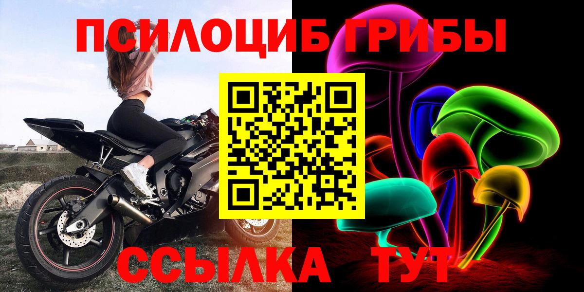 Ставрополь  наркотики  Вход с VPN  Псилоцибиновые грибы ЛСД 