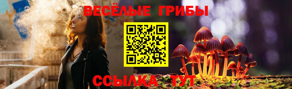 Псилоцибиновые грибы GOLDEN TEACHER Ставрополь