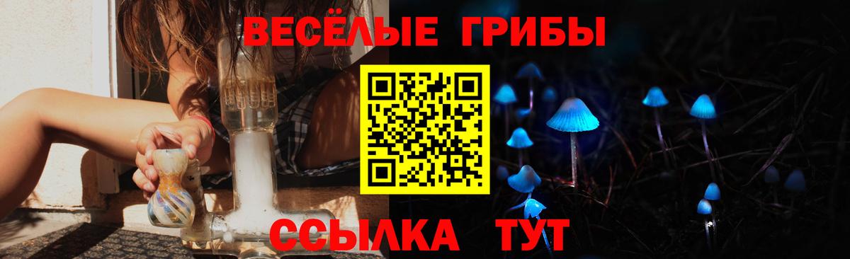 Псилоцибиновые грибы Magic Shrooms  Галлюциногенные грибы прущие грибы  Вход с VPN  Ставрополь 